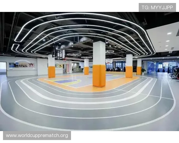 OD综合体育设备与场地选择指南,打造专业化运动体验环境